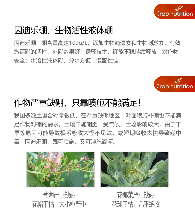 因迪樂有機海藻硼_03.jpg 因迪樂有機海藻硼_03.jpg