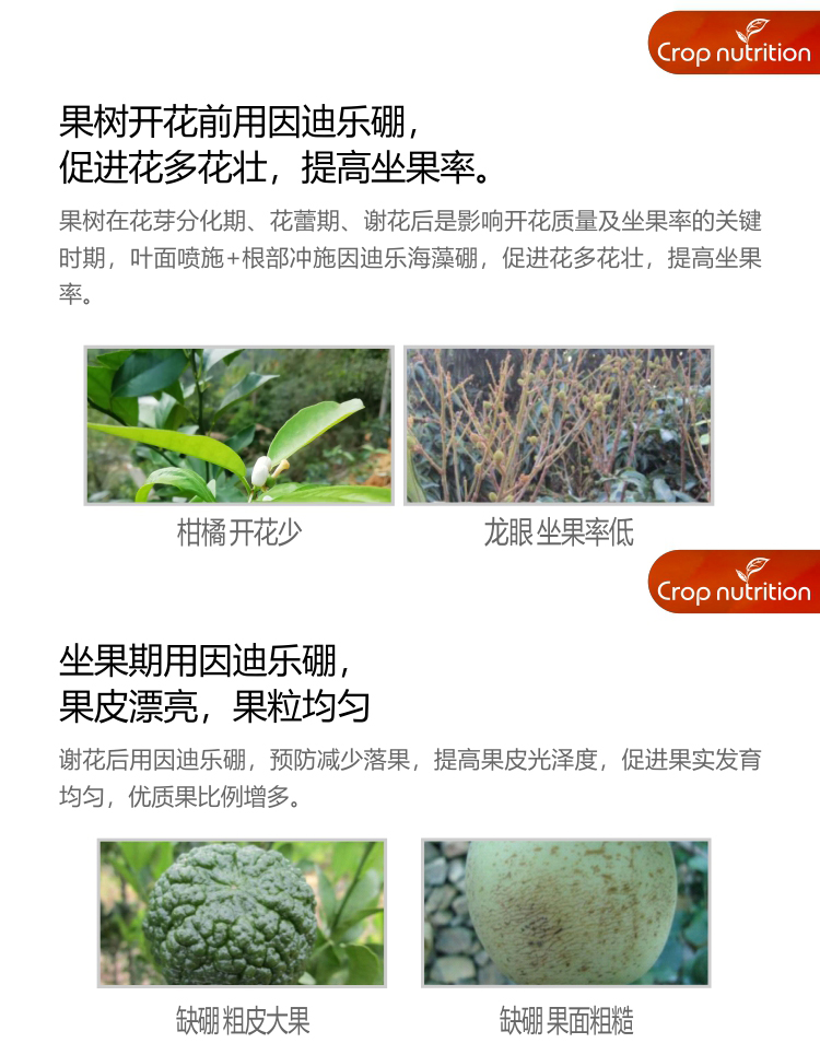 因迪樂有機海藻硼_04.jpg 因迪樂有機海藻硼_04.jpg