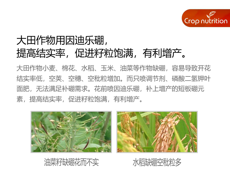 因迪樂有機海藻硼_05.jpg 因迪樂有機海藻硼_05.jpg