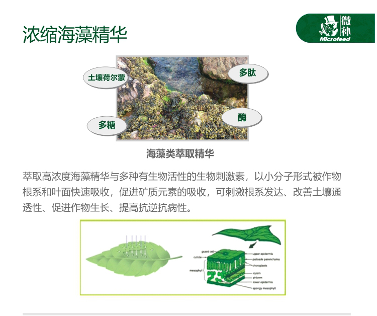 微補(bǔ)全力-_02.jpg 微補(bǔ)全力-_02.jpg