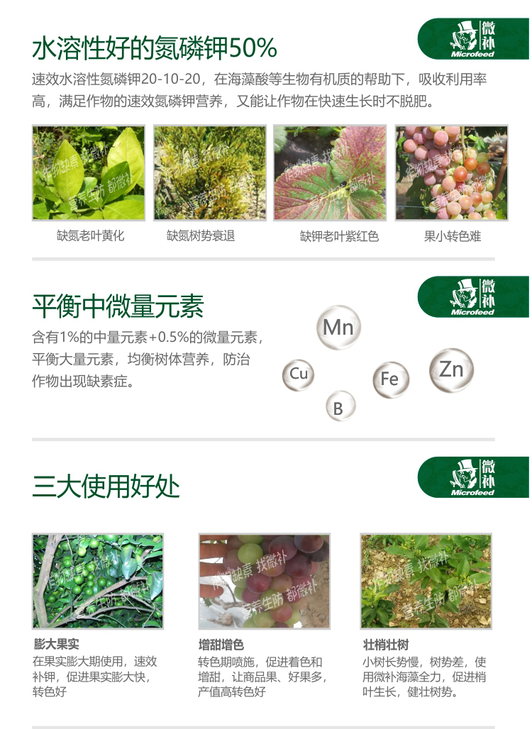 微補(bǔ)全力-_03.jpg 微補(bǔ)全力-_03.jpg