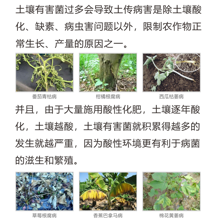 益生菌_02.jpg 益生菌_02.jpg