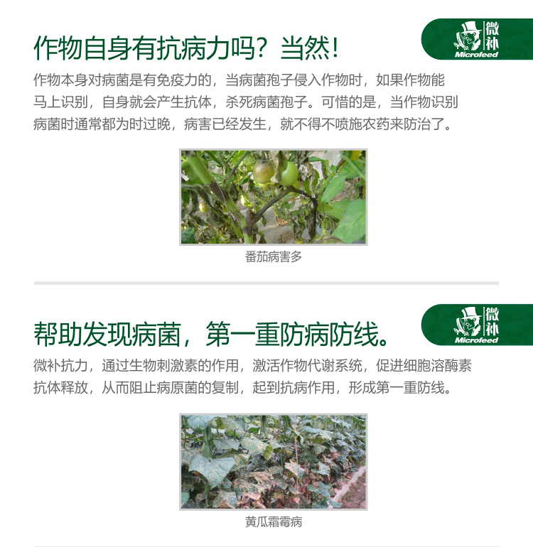 微補(bǔ)抗力2750_02.jpg 微補(bǔ)抗力2750_02.jpg