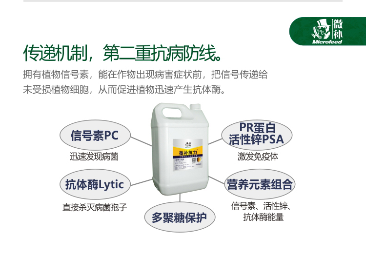 微補(bǔ)抗力2750_03.jpg 微補(bǔ)抗力2750_03.jpg