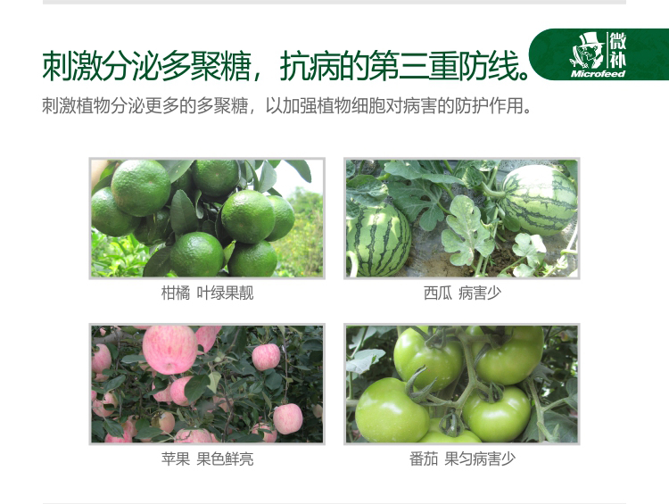 微補(bǔ)抗力2750_04.jpg 微補(bǔ)抗力2750_04.jpg