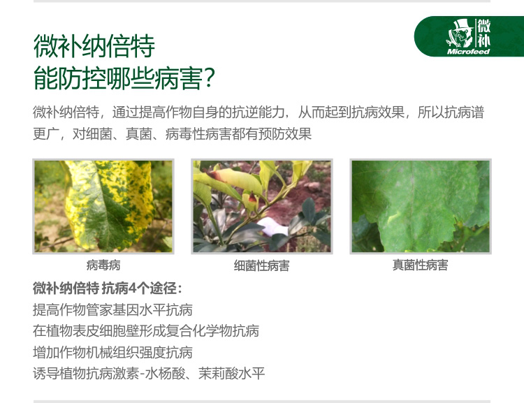 微補RBI納米助劑9_04.jpg 微補RBI納米助劑9_04.jpg