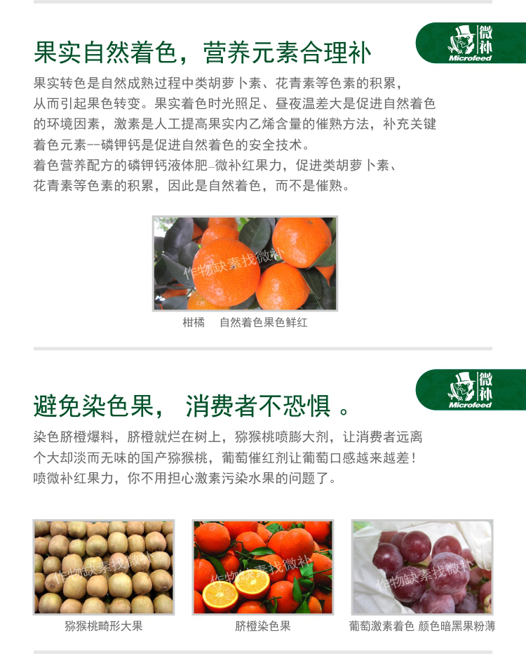 微補紅果力(1)(1)(1)_03.jpg 微補紅果力(1)(1)(1)_03.jpg