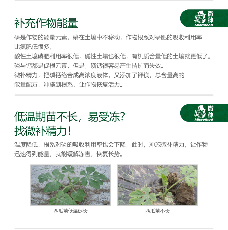 微補精力_02.jpg 微補精力_02.jpg