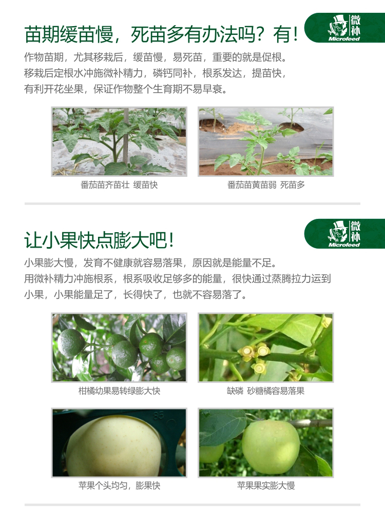 微補精力_03.jpg 微補精力_03.jpg