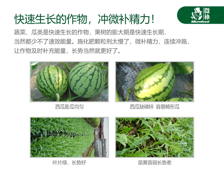 微補精力_04.jpg 微補精力_04.jpg