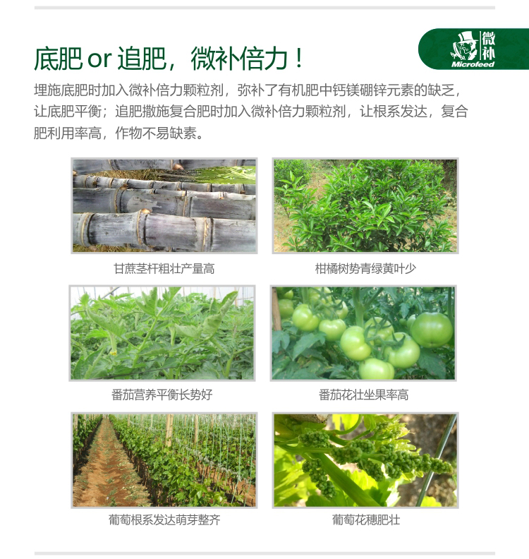 微補倍力25官網(wǎng)_04.jpg 微補倍力25官網(wǎng)_04.jpg