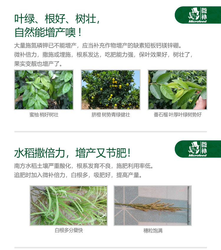 微補倍力25官網(wǎng)_05.jpg 微補倍力25官網(wǎng)_05.jpg