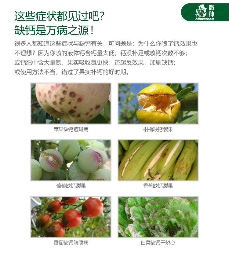 微補(bǔ)蓋力_02.jpg 微補(bǔ)蓋力_02.jpg