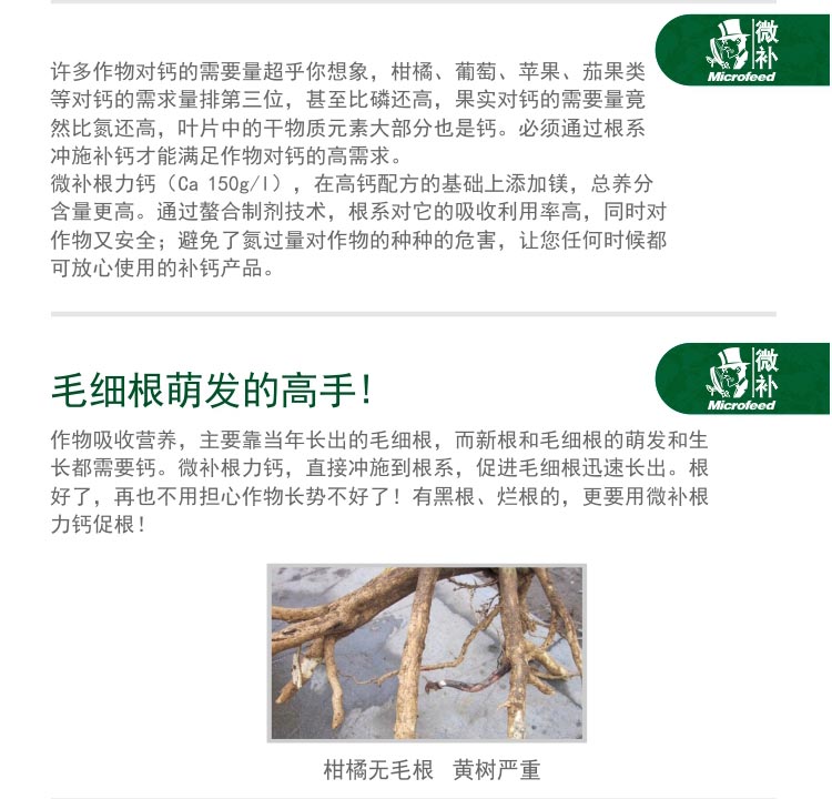 微補(bǔ)根力鈣_02.jpg 微補(bǔ)根力鈣_02.jpg