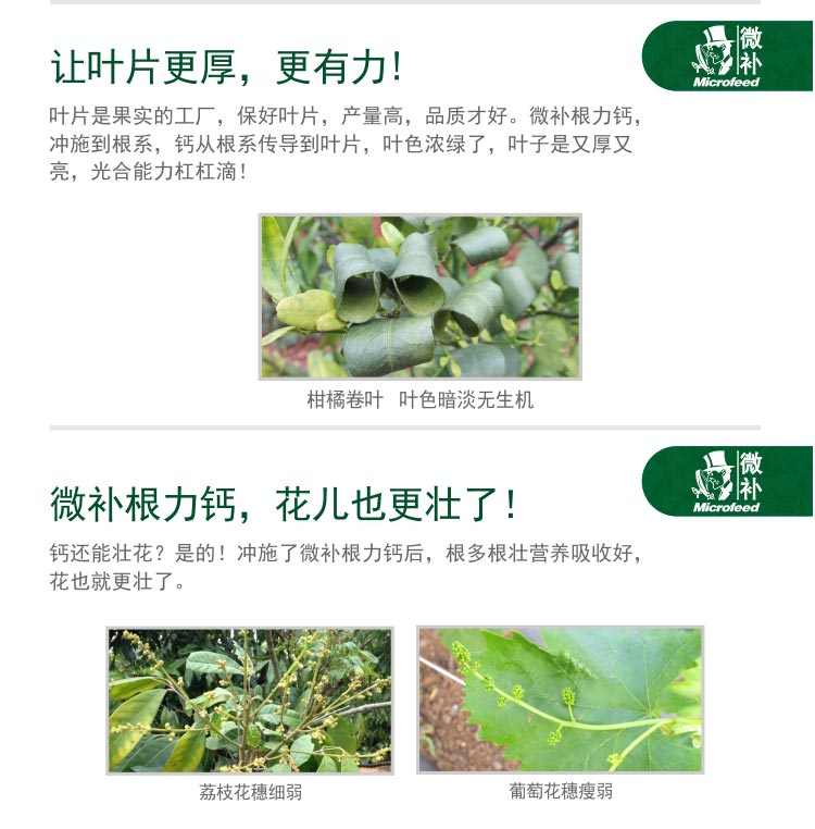 微補(bǔ)根力鈣_03.jpg 微補(bǔ)根力鈣_03.jpg