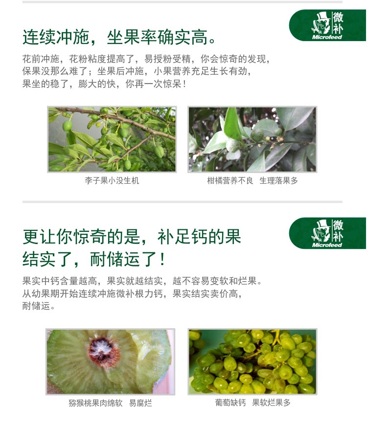 微補(bǔ)根力鈣_04.jpg 微補(bǔ)根力鈣_04.jpg