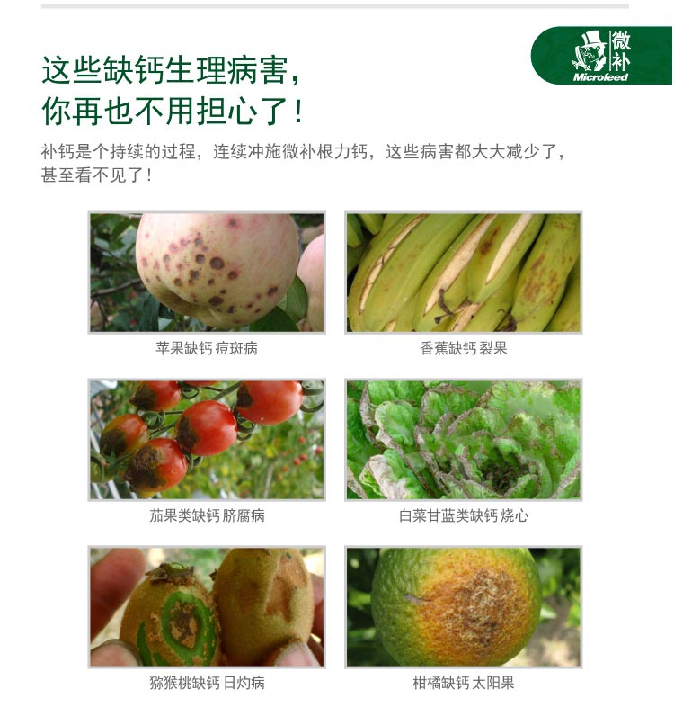 微補(bǔ)根力鈣_05.jpg 微補(bǔ)根力鈣_05.jpg