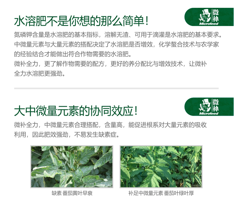 微補(bǔ)全力-(官網(wǎng))_02.jpg 微補(bǔ)全力-(官網(wǎng))_02.jpg