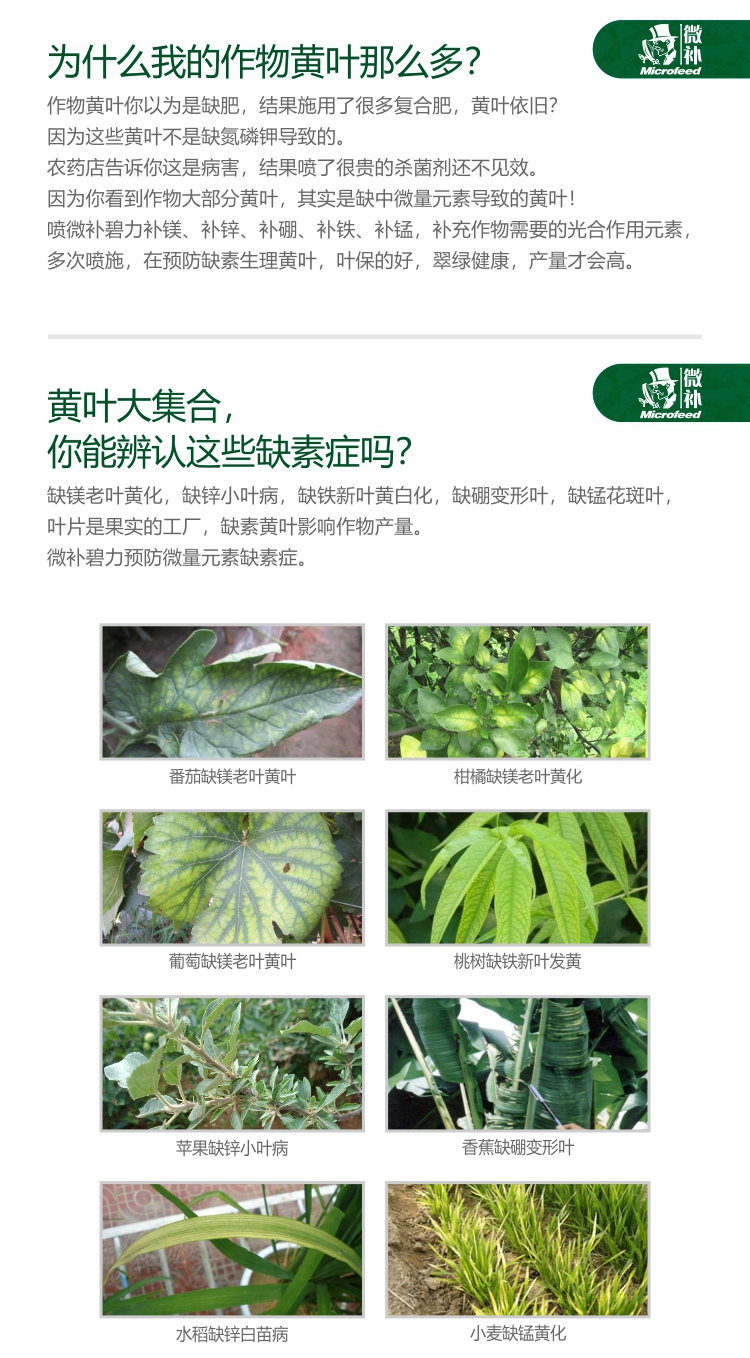 微補碧力【】_02.jpg 微補碧力【】_02.jpg