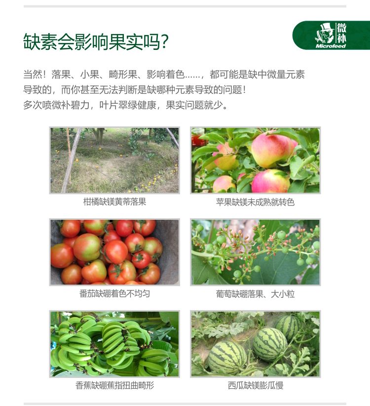 微補碧力【】_03.jpg 微補碧力【】_03.jpg