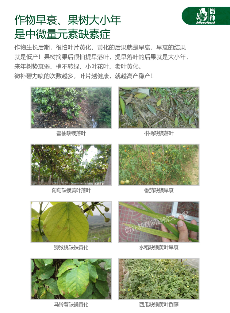 微補碧力【】_04.jpg 微補碧力【】_04.jpg