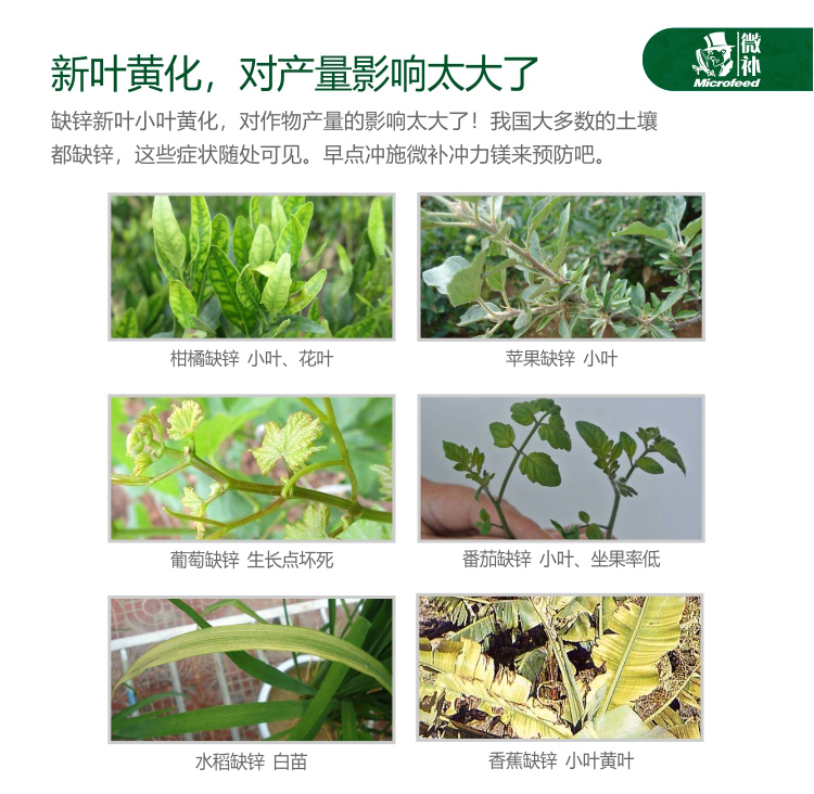 微補沖力鎂_03.jpg 微補沖力鎂_03.jpg