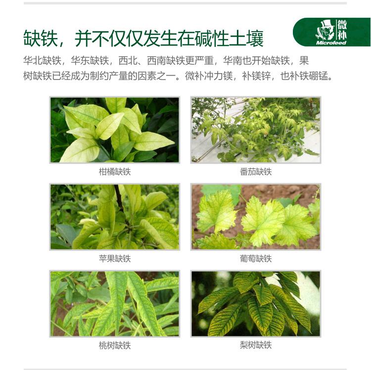 微補沖力鎂_04.jpg 微補沖力鎂_04.jpg