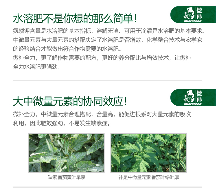 微補(bǔ)全力-(官網(wǎng))_02.jpg 微補(bǔ)全力-(官網(wǎng))_02.jpg