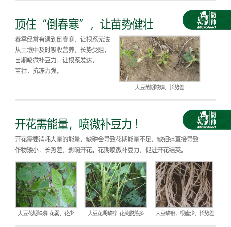 未命名--1_03.jpg 未命名--1_03.jpg