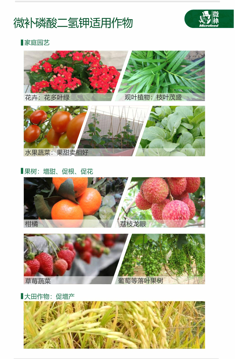 微補磷酸二氫鉀【官網(wǎng)】_02.jpg 微補磷酸二氫鉀【官網(wǎng)】_02.jpg