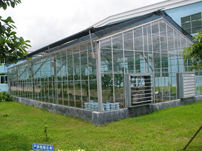 微補全天候溫室