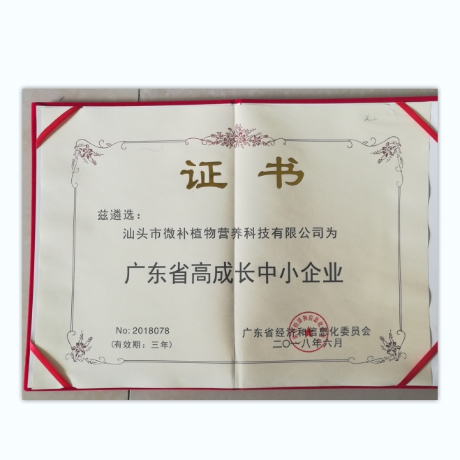 廣東省高成長(cháng)中小企業(yè)