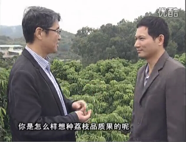 20160104珠江臺搖錢樹：補(bǔ)充所需微補(bǔ)營養(yǎng)，種出品質(zhì)荔枝，提高收益賣價！