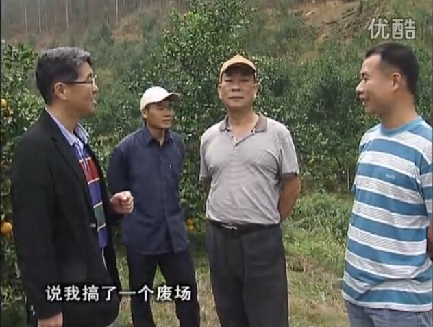 20160118珠江臺搖錢樹：貢柑用微補(bǔ)全年營養(yǎng)方案，黃樹翻身還高產(chǎn)增果