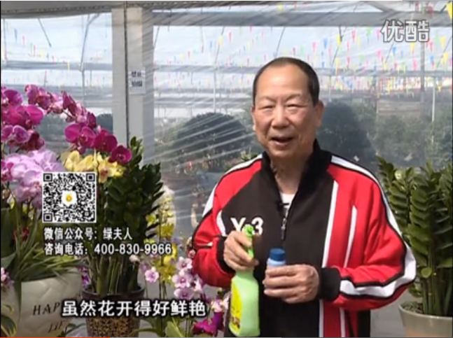 20160314珠江臺搖錢樹：家種鮮花、鮮切花，用綠夫人600度鮮花液?；ㄆG、花期長