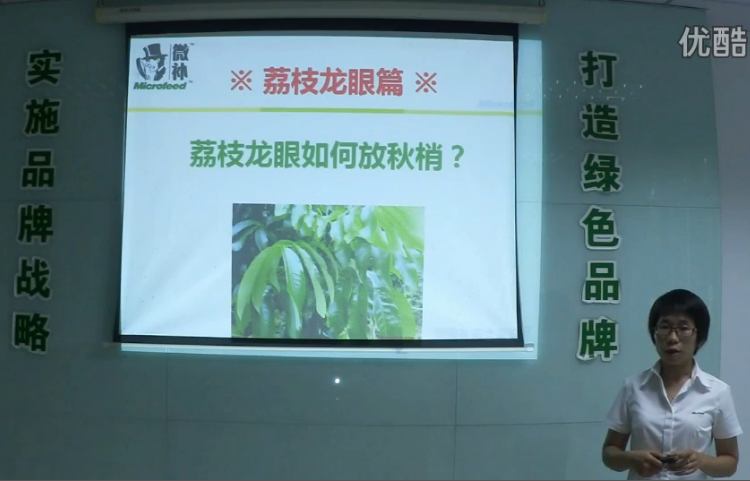 荔枝龍眼-采后樹弱、秋梢不壯怎么辦？請看微補(bǔ)講座