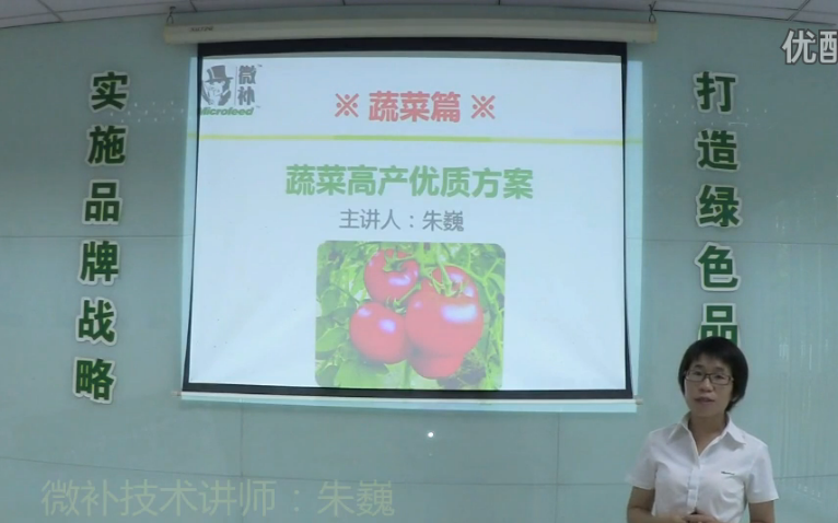蔬菜-提苗壯長、提高坐果高產(chǎn)方案.微補(bǔ)講座