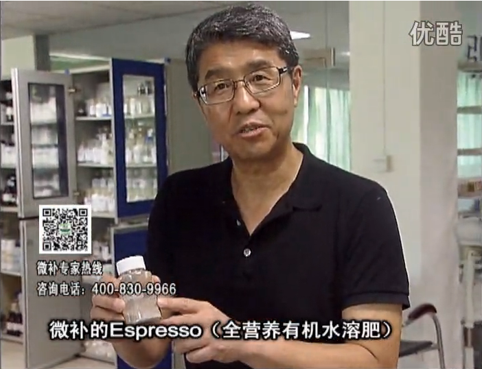 20160822珠江臺搖錢樹：柑橘秋梢淋沖因迪樂精華粉，補充有機營養(yǎng)，健壯果樹