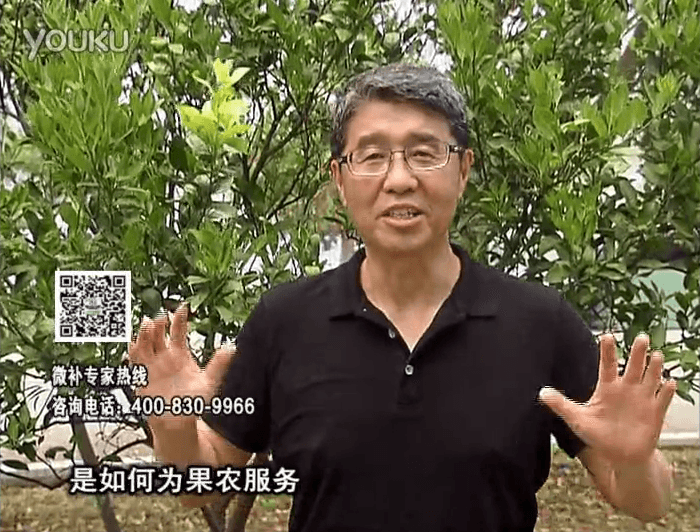 20160912珠江臺(tái)搖錢樹：針對(duì)果場(chǎng)面積、缺素營(yíng)養(yǎng)、設(shè)施管理、投入產(chǎn)出，微補(bǔ)做個(gè)性化定制服務(wù)