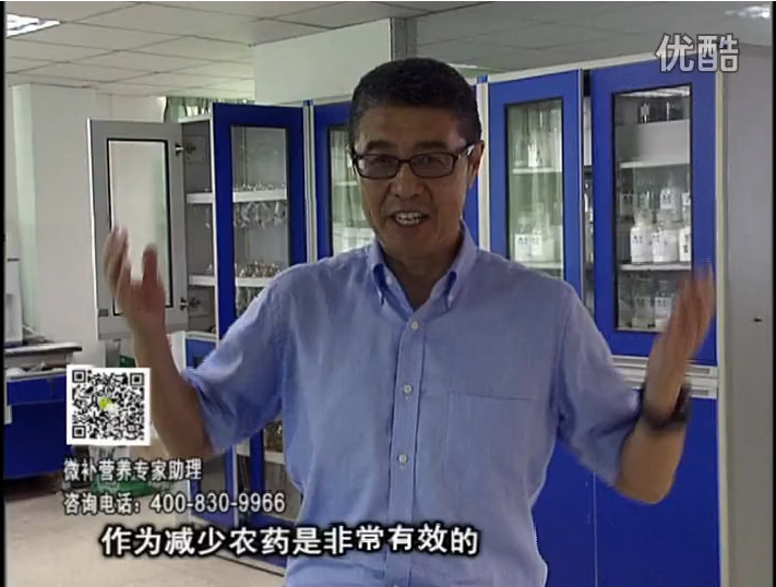 20161024珠江臺(tái)搖錢樹：種植作物調(diào)酸、平衡營(yíng)養(yǎng)、提高抗病力能大大降低病害發(fā)生和農(nóng)藥使用量