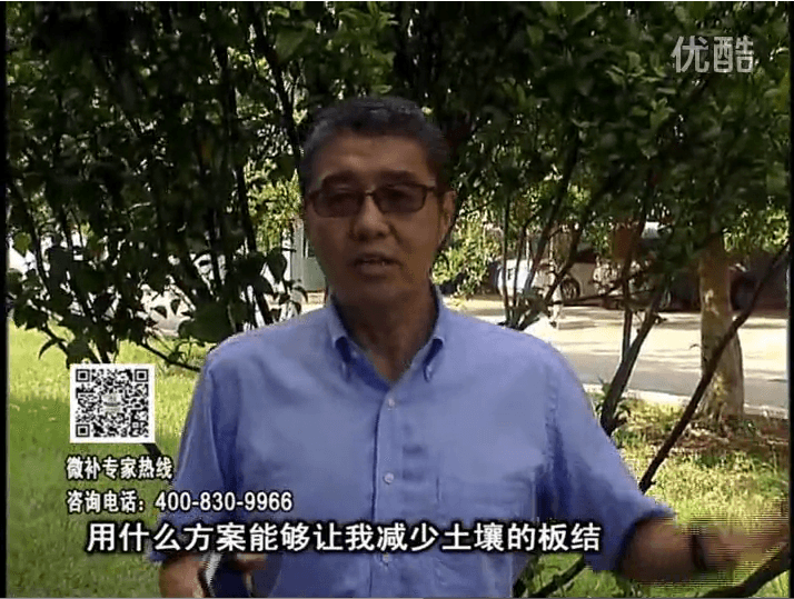 20161031珠江臺(tái)搖錢樹：減少化肥使用量、土壤少板結(jié)有辦法