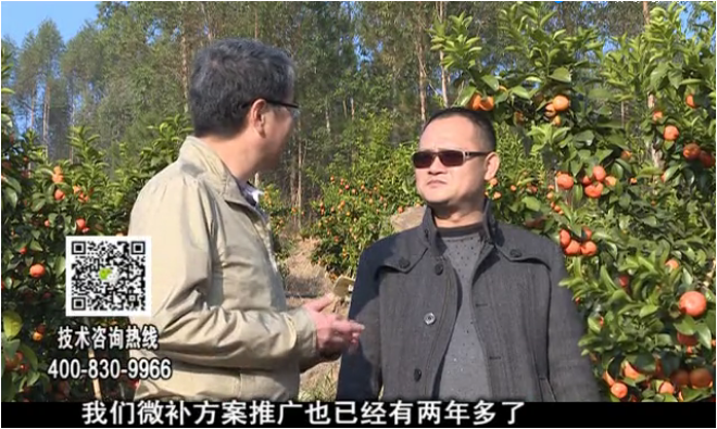 20180122珠江臺搖錢(qián)樹(shù)：廣西柑橘如何管？產(chǎn)量賣(mài)相好?