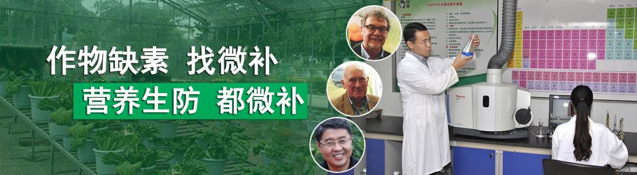 沖施肥招商 沖施肥招商