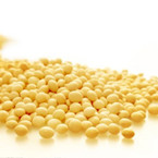 大豆類(lèi)營(yíng)養方案